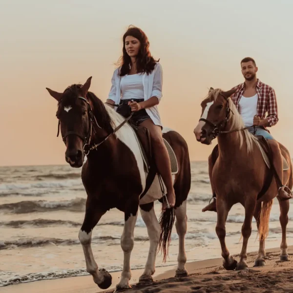 Horseback Riding (Beach & Jungle)