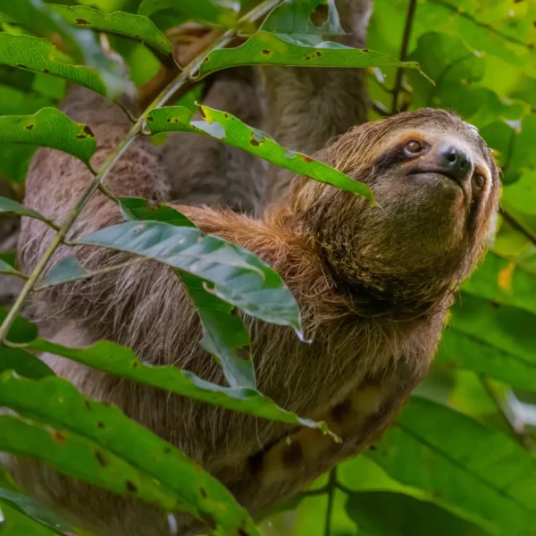 Manuel Antonio National Park
